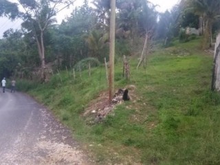 Land Part of Ramble, Hanover, Jamaica - Residential lot for Sale